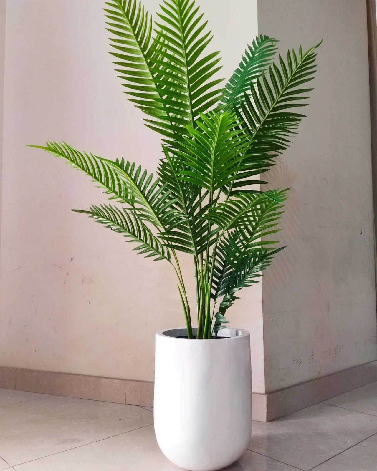 Artificial Plant with Pot